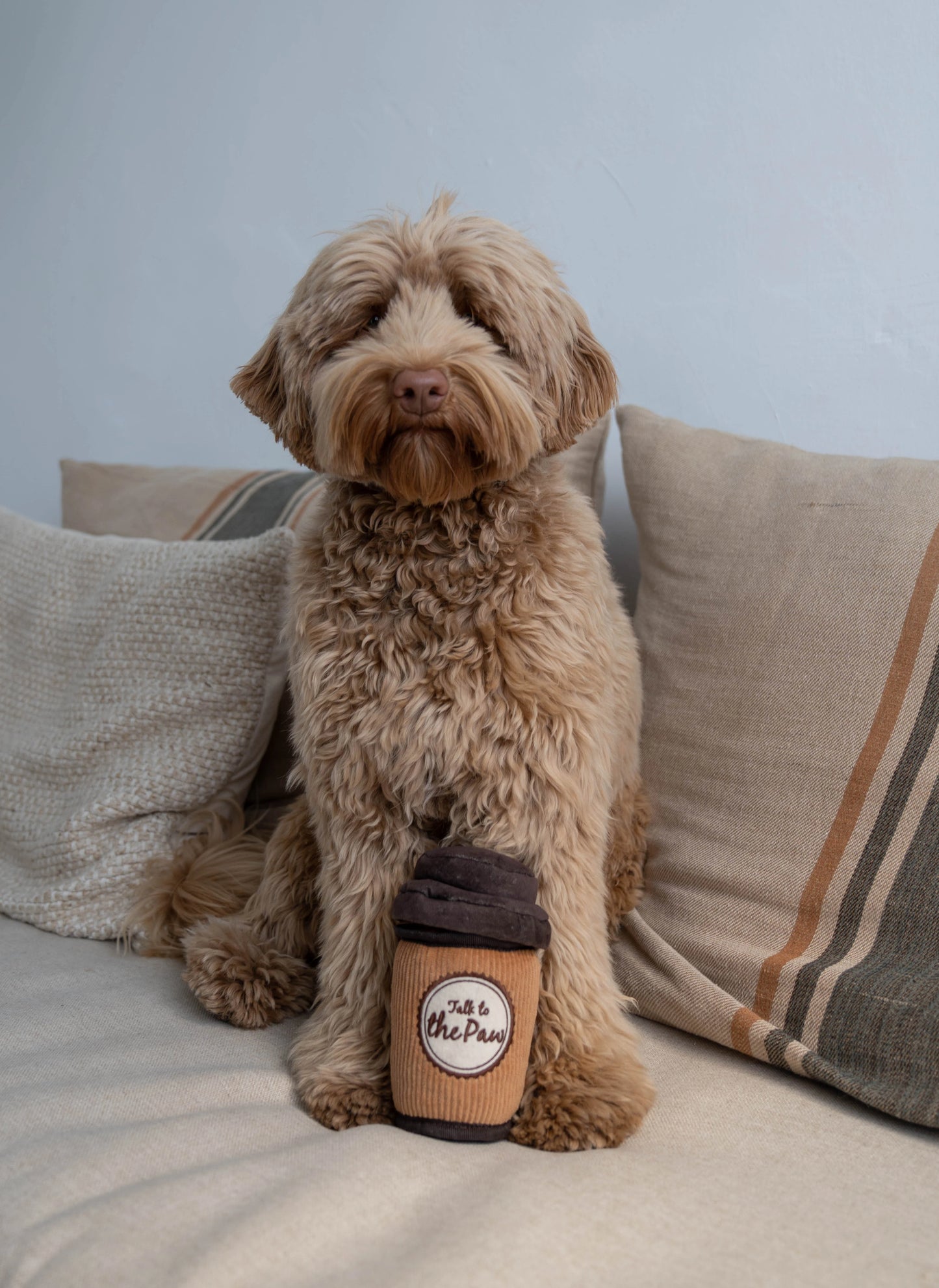 P.L.A.Y. Pup Cup Cafe Collection - Doggo's Java
