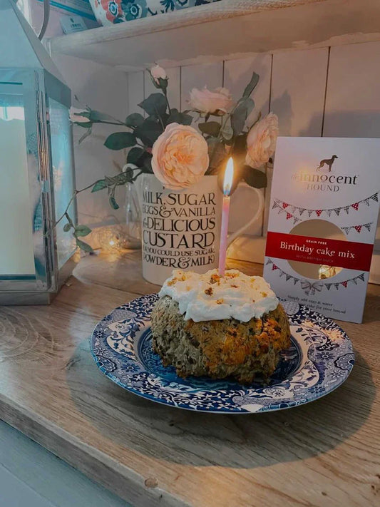 The Innocent Hound - Birthday Cake Mix