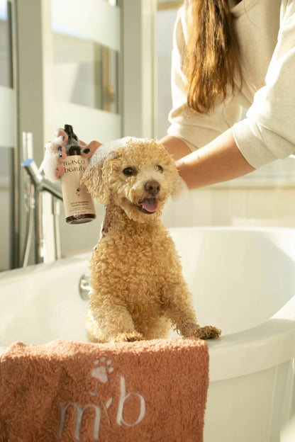 Masco Beauty - Detox Shampoo