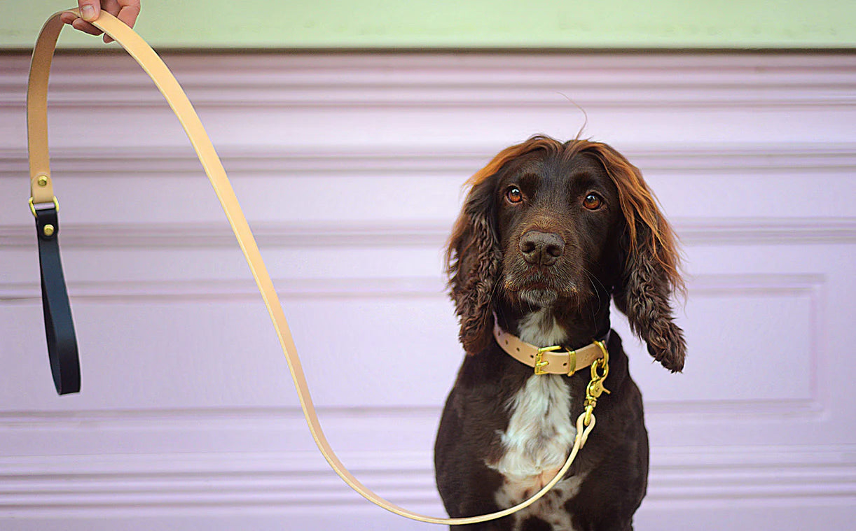 Rag & Paw - Riem