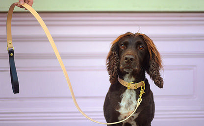 Rag & Paw - Riem