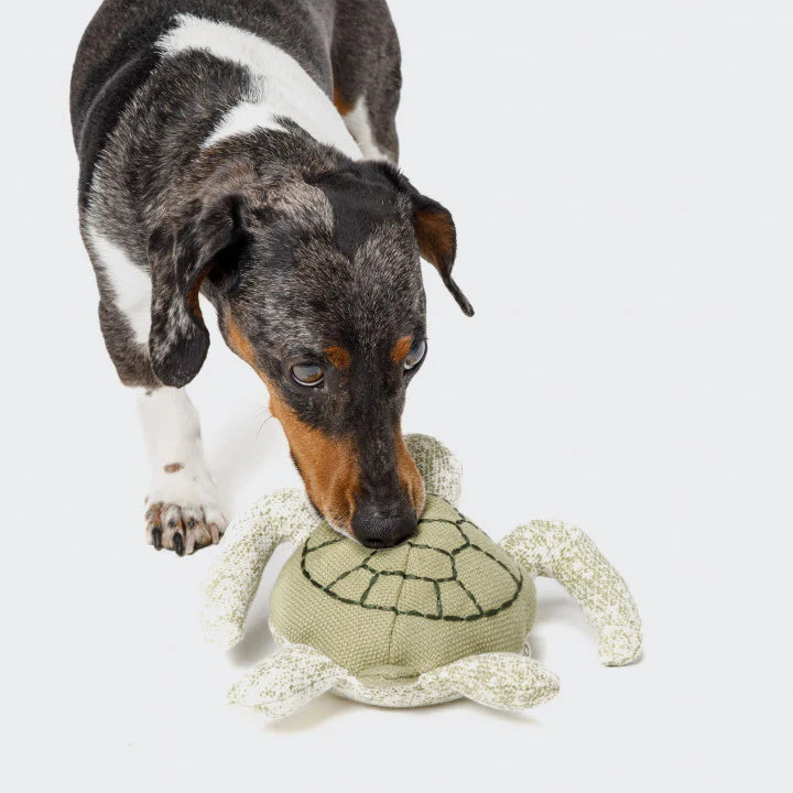 Cloud7 - Dog Toy Turtle Enna