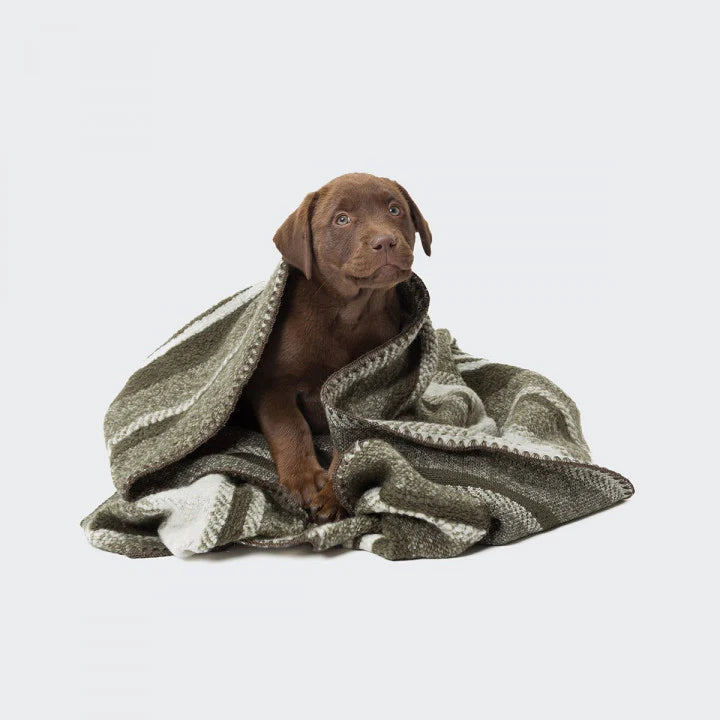 Cloud7 - Blanket Evergreen