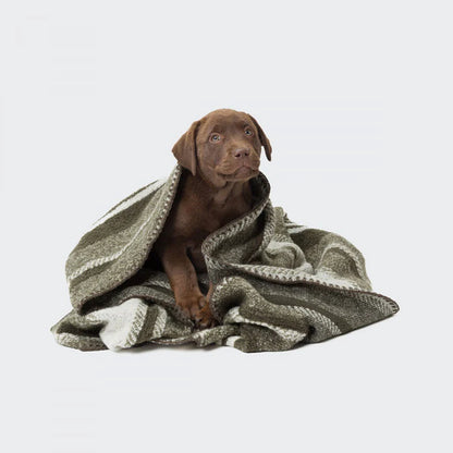 Cloud7 - Blanket Evergreen