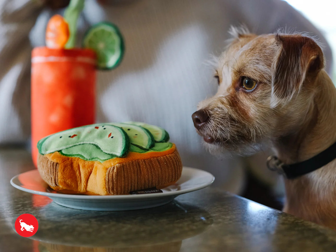 P.L.A.Y. Barking Brunch - Avo-doggo toast