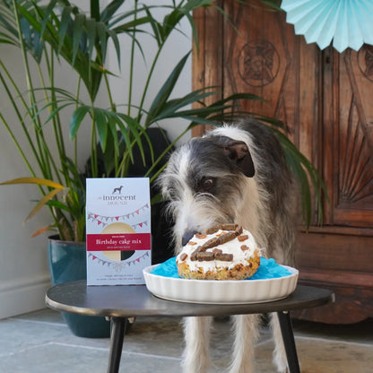 The Innocent Hound - Birthday Cake Mix
