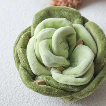 Pups & Bubs - Snuffel Cabbage