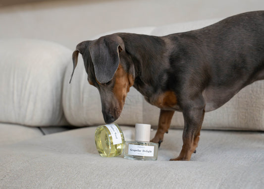 Pawness - Hondenparfum Timber Woof