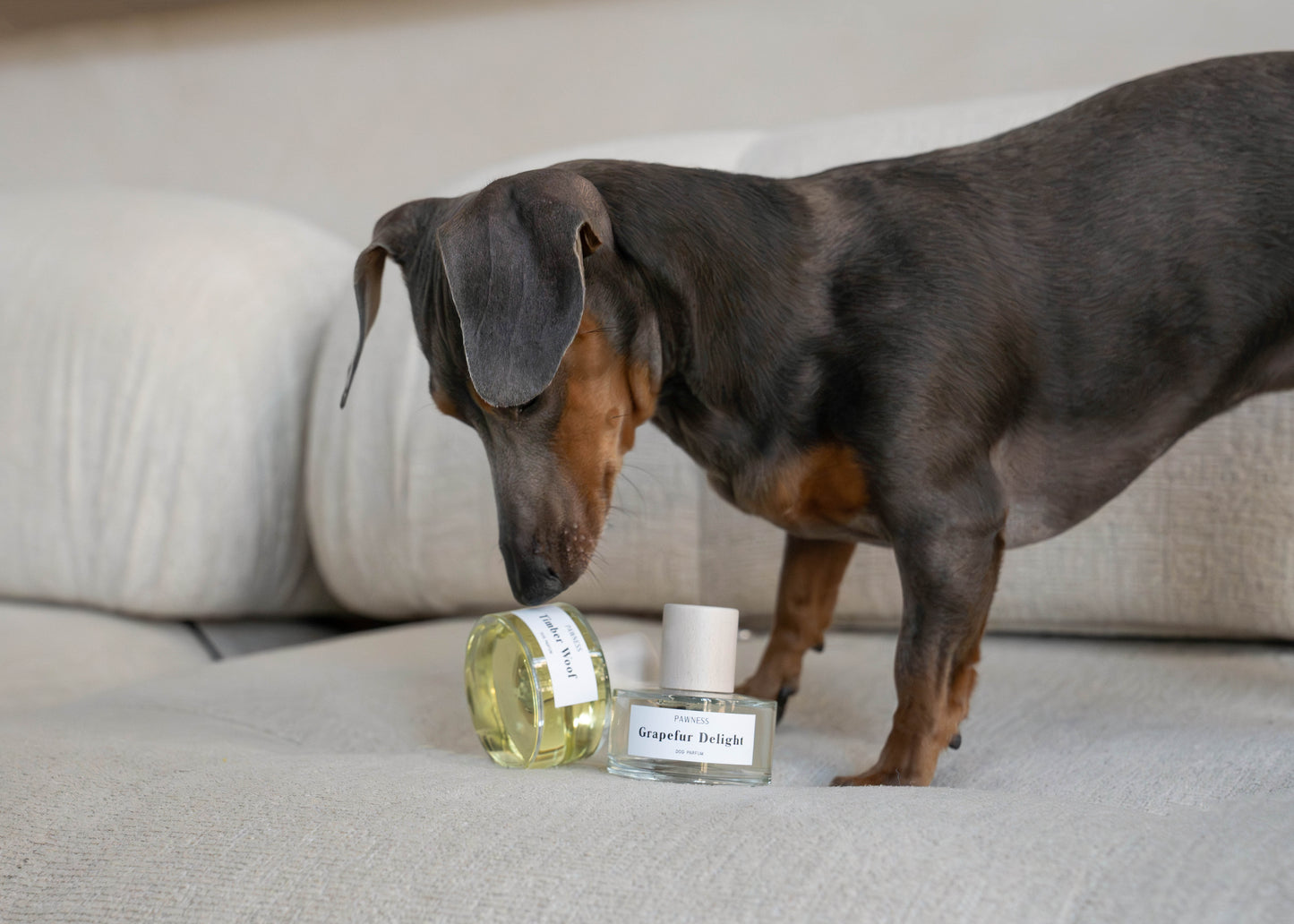 Pawness - Hondenparfum Grapefur Delight