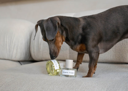 Pawness - Hondenparfum Grapefur Delight