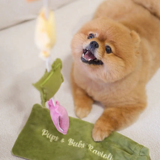 Pups & Bubs - Ravioli