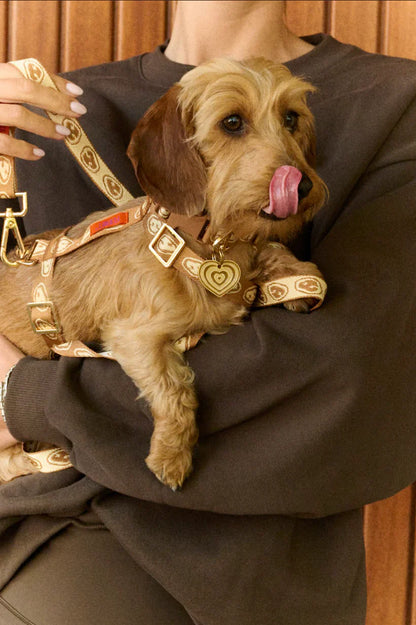 Furmey - Harness