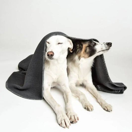Cloud7 - Blanket Soft Fleece Dark Grey