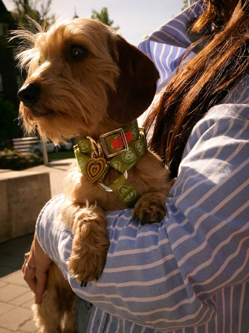 Furmey - Collar