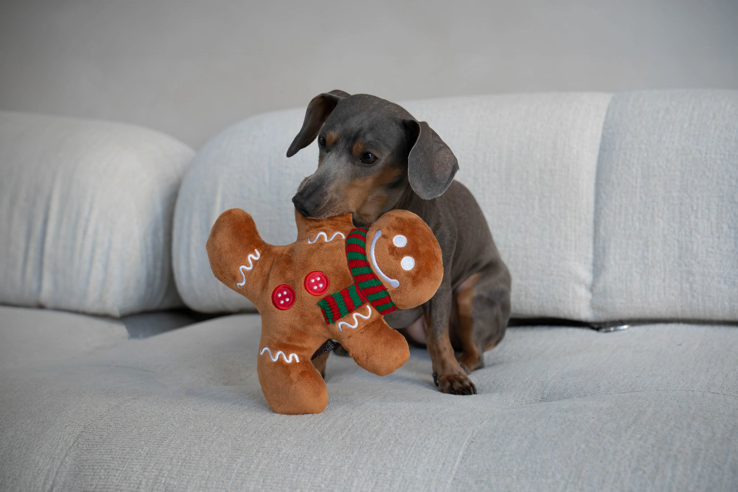 P.L.A.Y. Holiday Classic – Gingerbread Man