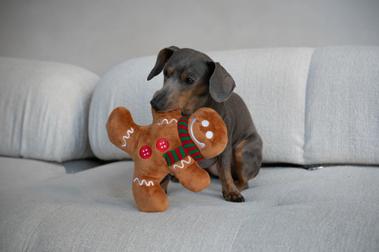 P.L.A.Y. Holiday Classic – Gingerbread Man