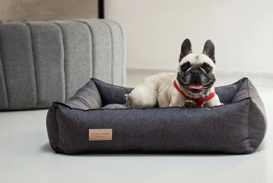 Bowl & Bone - Urban Bed Navy