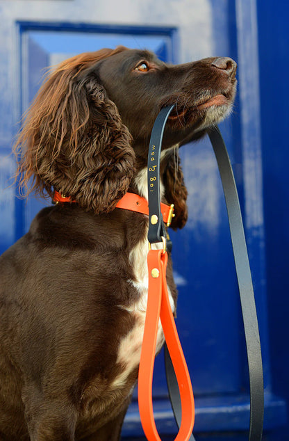 Rag & Paw - Halsband