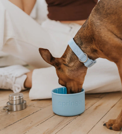 Springer Pets - Dog & Me Travel Bottle