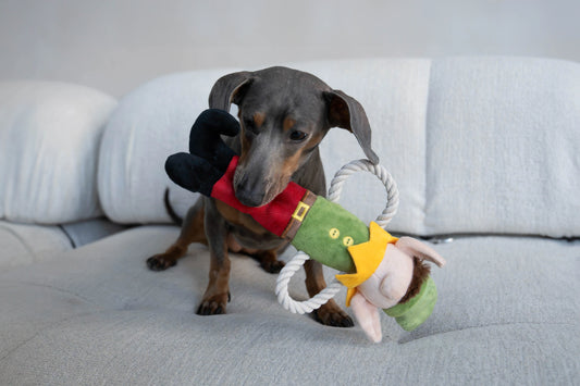 P.L.A.Y. Merry Woofmas – Santa’s Little Elf-er