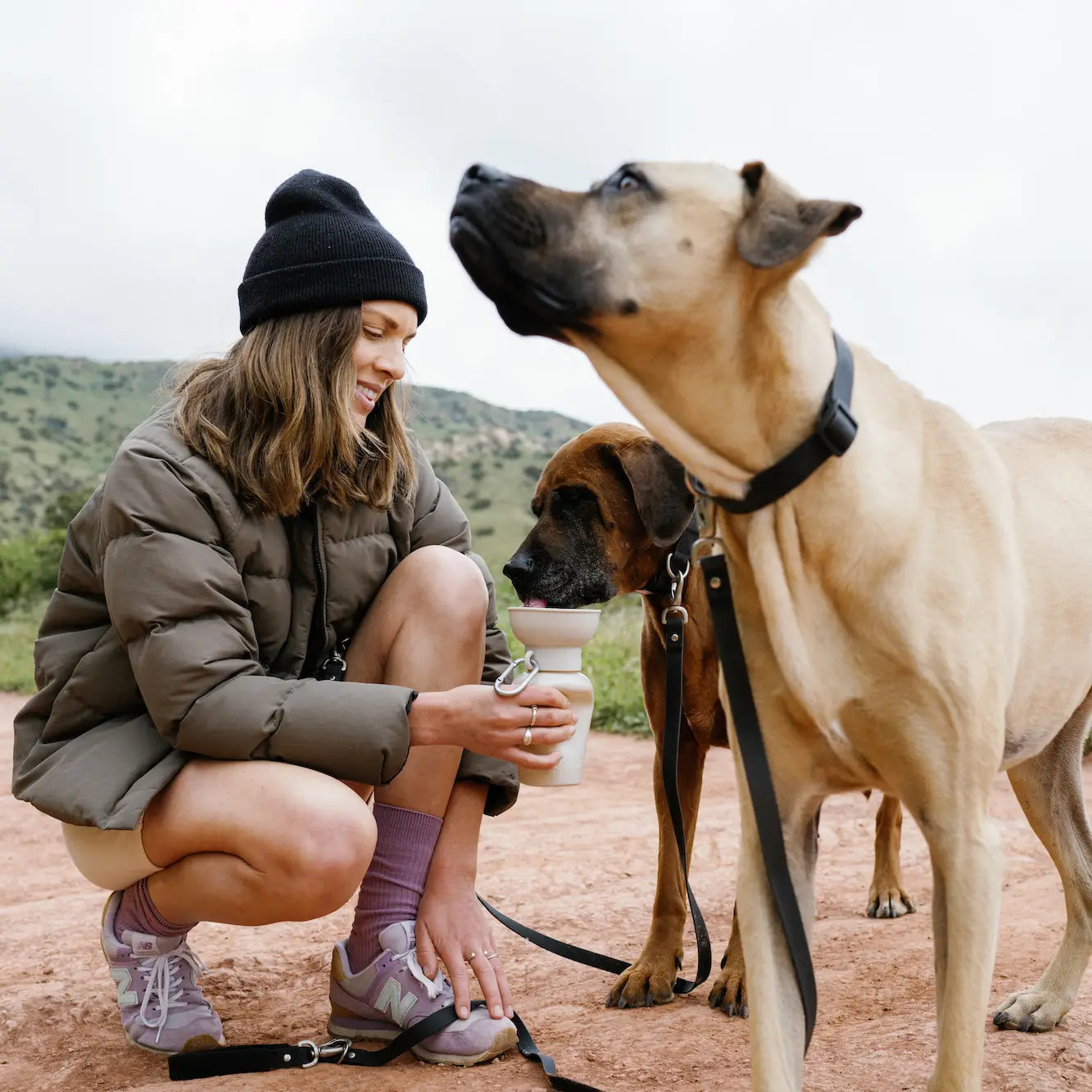 Springer Pets - Flip Travel Bottle