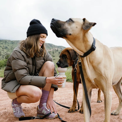 Springer Pets - Flip Travel Bottle