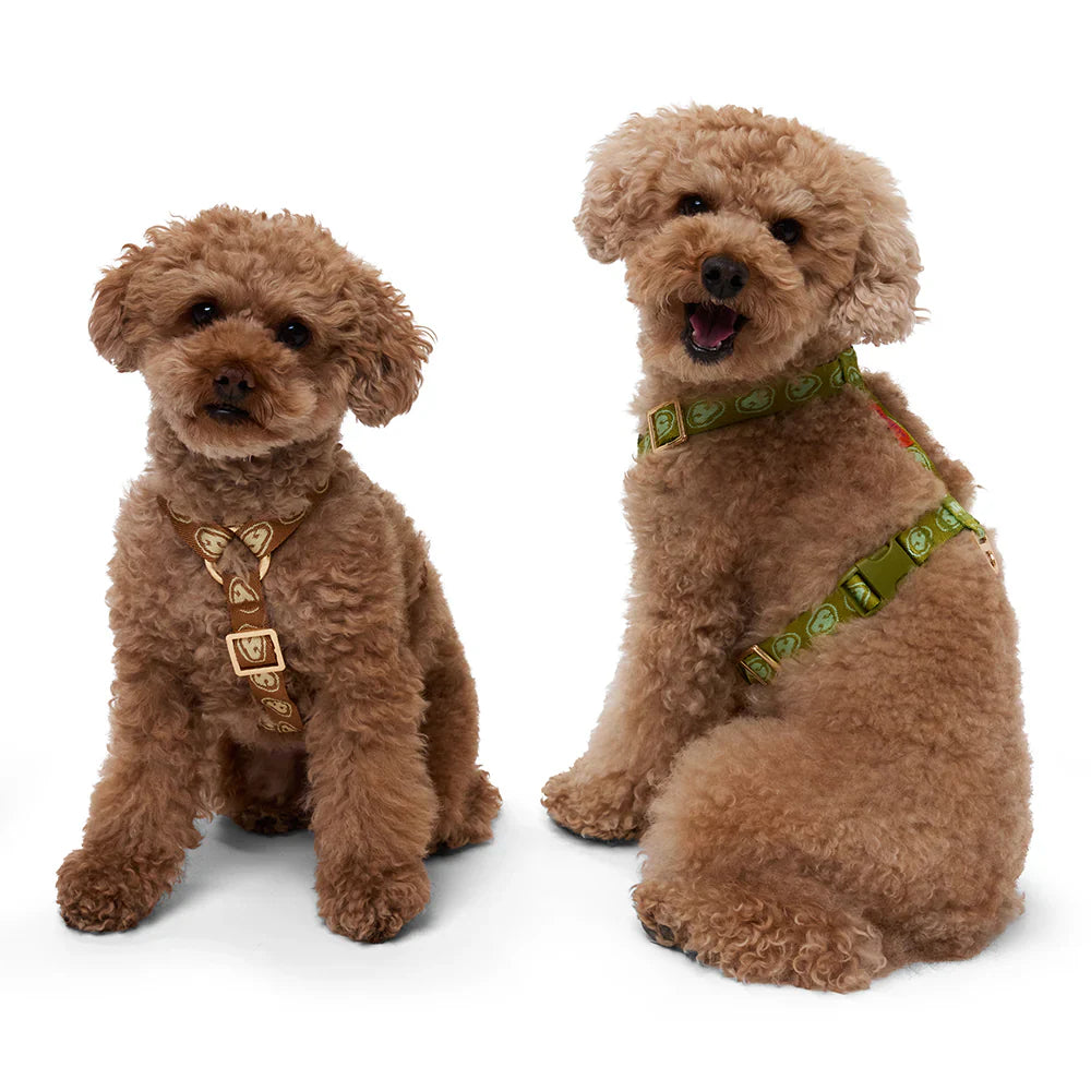 Furmey - Harness