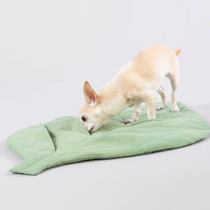 Paikka - Speel & Snuffel Mat