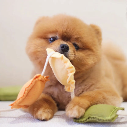 Pups & Bubs - Ravioli