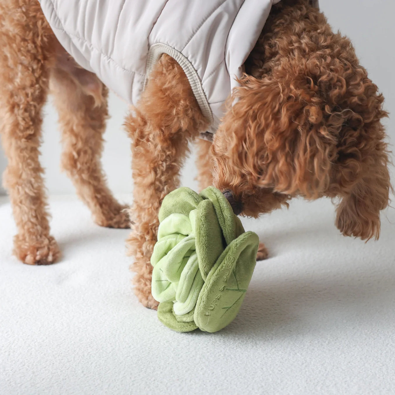 Pups & Bubs - Snuffel Cabbage