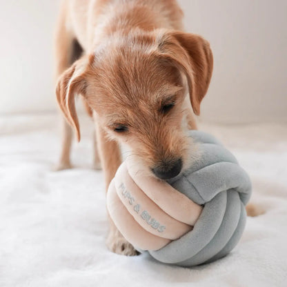 Pups & Bubs - Snuffel Knoop