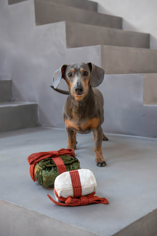 Lambwolf Collective - Holiday Box Groen