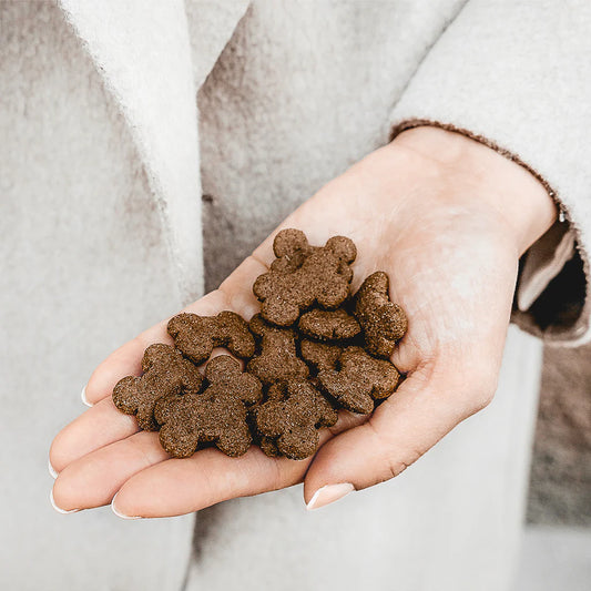 Buddy Pet Foods - Crunchy Lam Snack