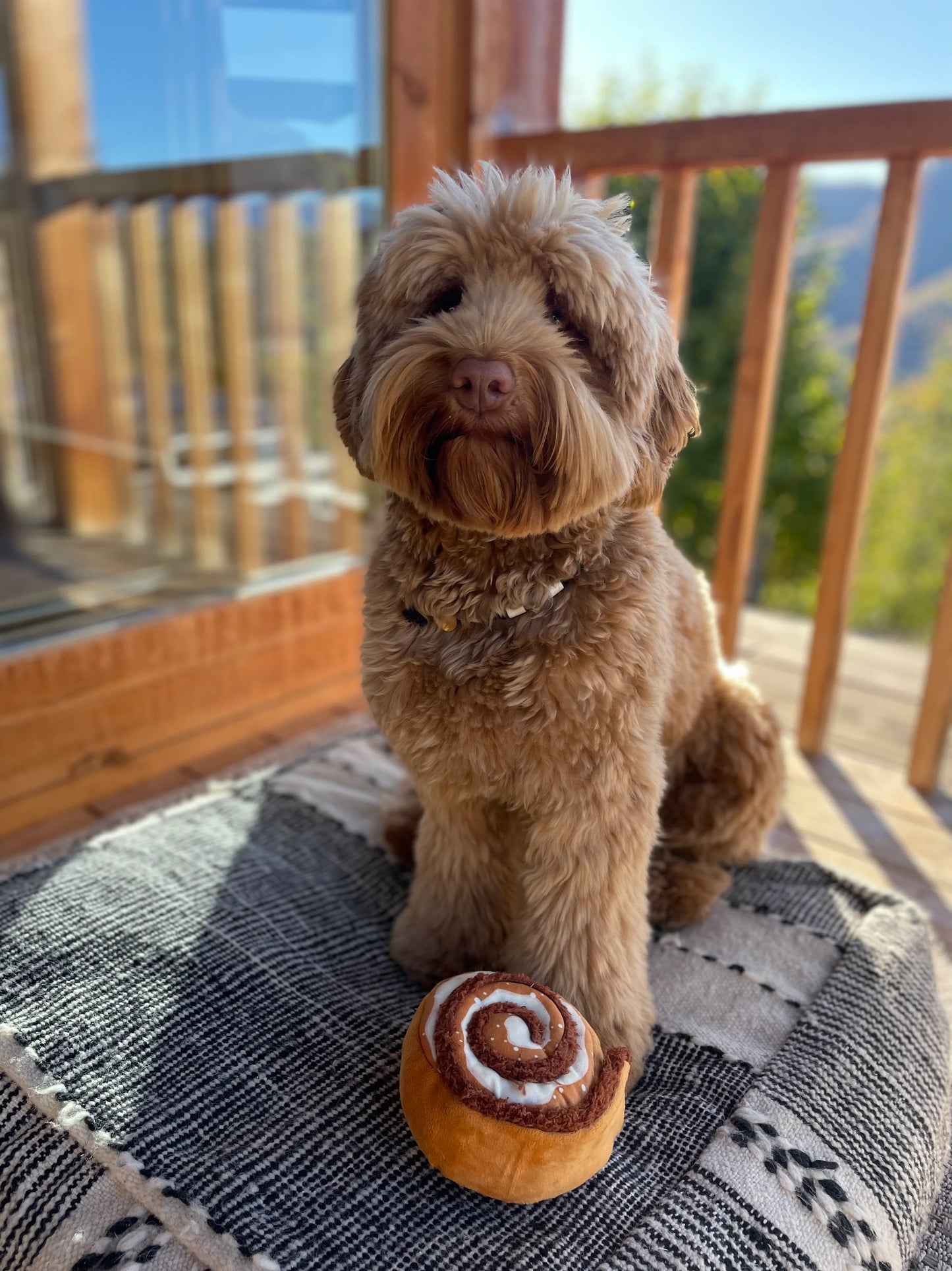 P.L.A.Y. Pup Cup Cafe Collection - Cinna-bone