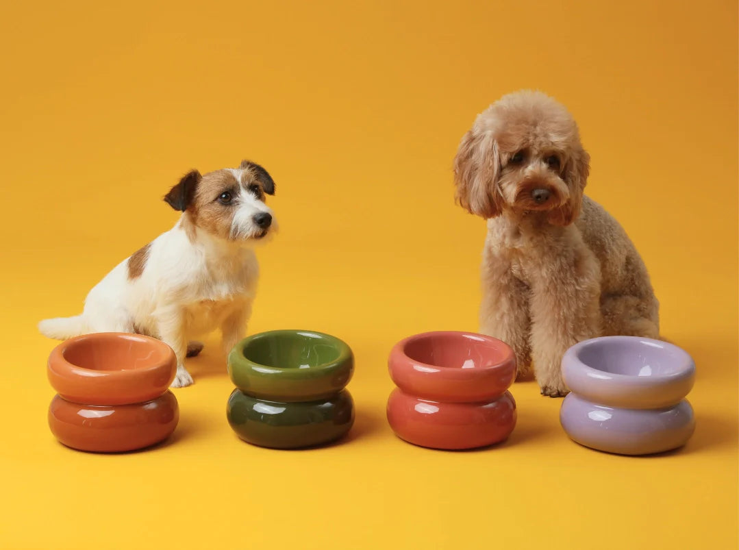 Pehom - Souffle Pet Bowl