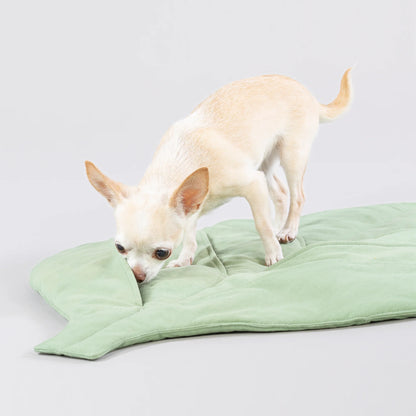 Paikka - Speel & Snuffel Mat