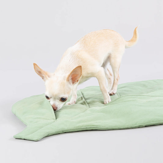 Paikka - Speel & Snuffel Mat