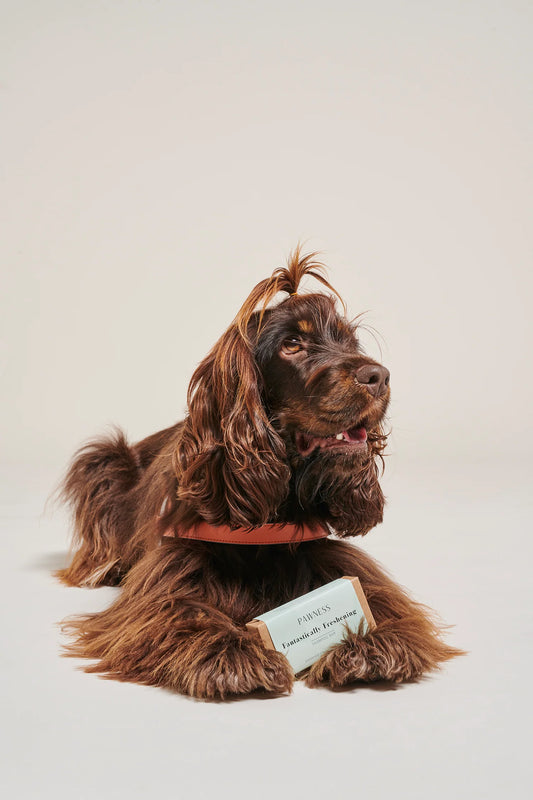 Pawness - Fantastically Freshening Shampoo Bar