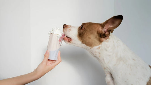 Up Dog Toys - The Ubbe