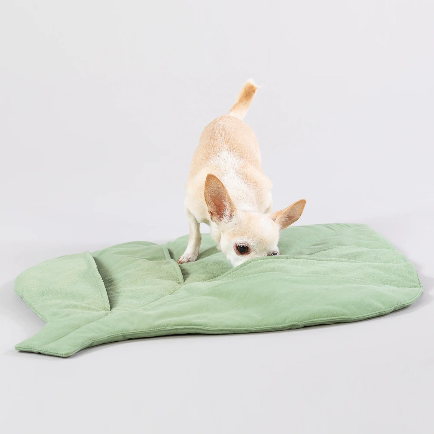 Paikka - Speel & Snuffel Mat