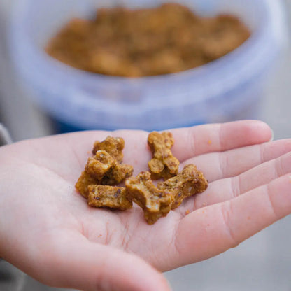 Buddy Pet Foods - Training Snacks Beef