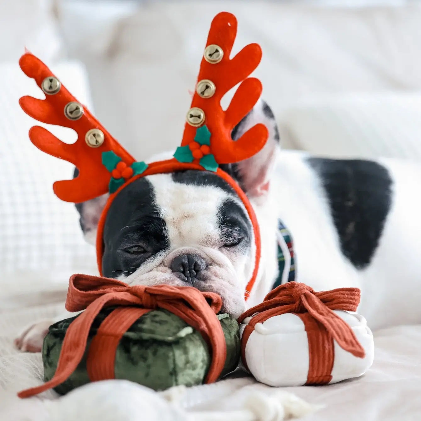 Lambwolf Collective - Holiday Box Groen