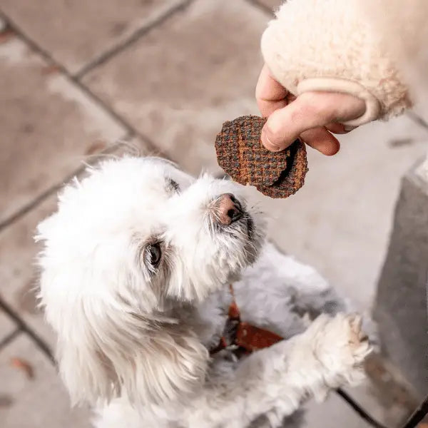 Buddy Pet Foods - Hertenburgers
