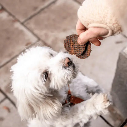 Buddy Pet Foods - Hertenburgers