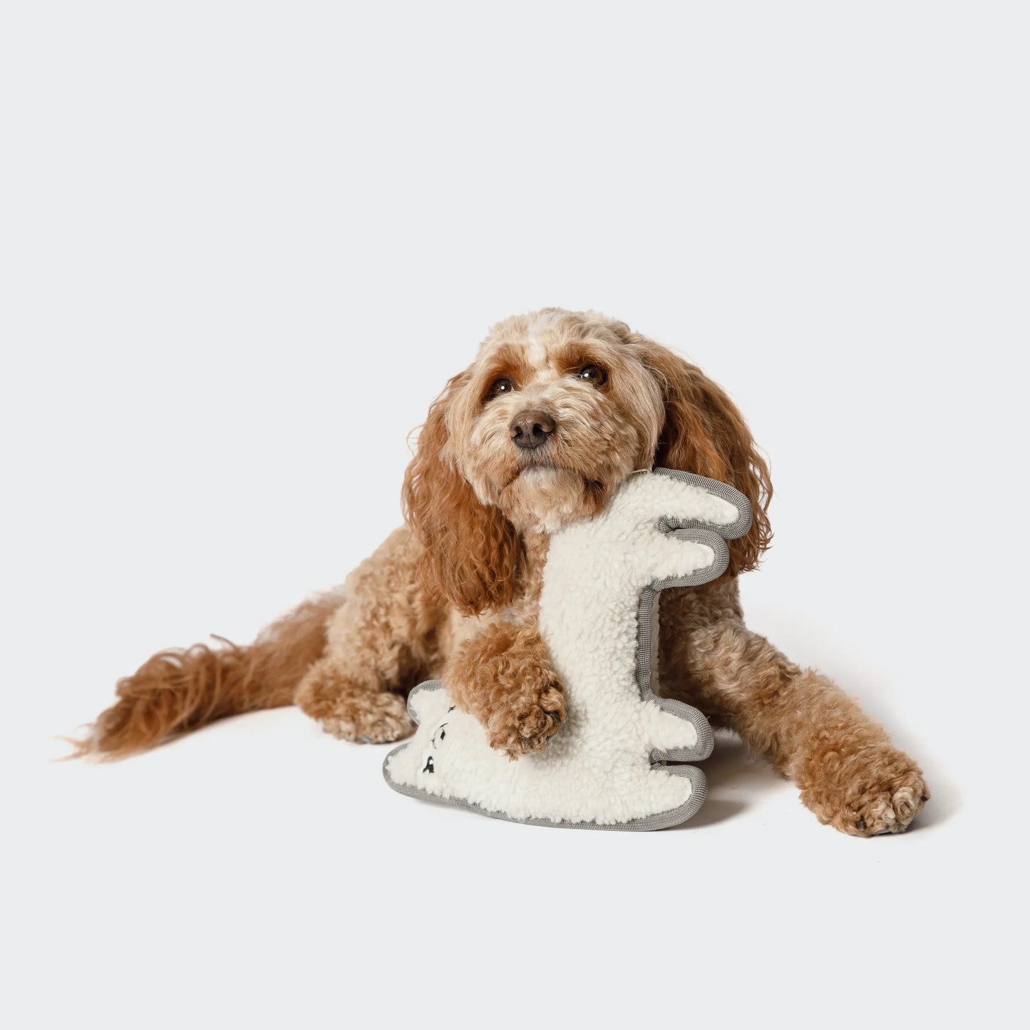 Cloud7 - Dog Toy Lama Lotte
