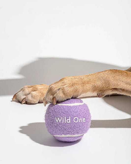 Wild One - Tennisballen