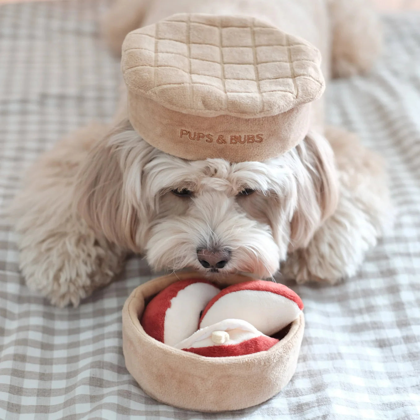 Pups & Bubs - Apple pie