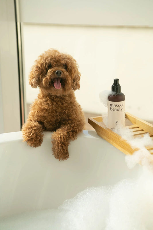 Masco Beauty - Detox Shampoo