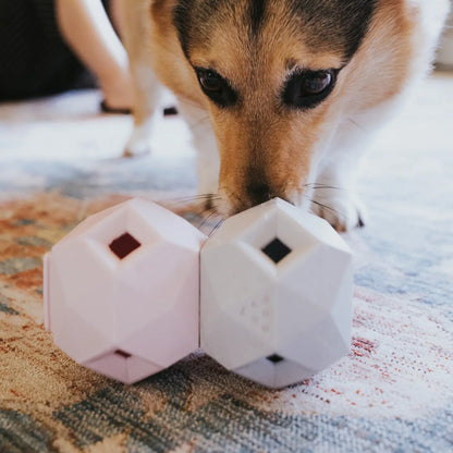 Up Dog Toys - The Odin