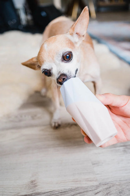 Up Dog Toys - The Ubbe